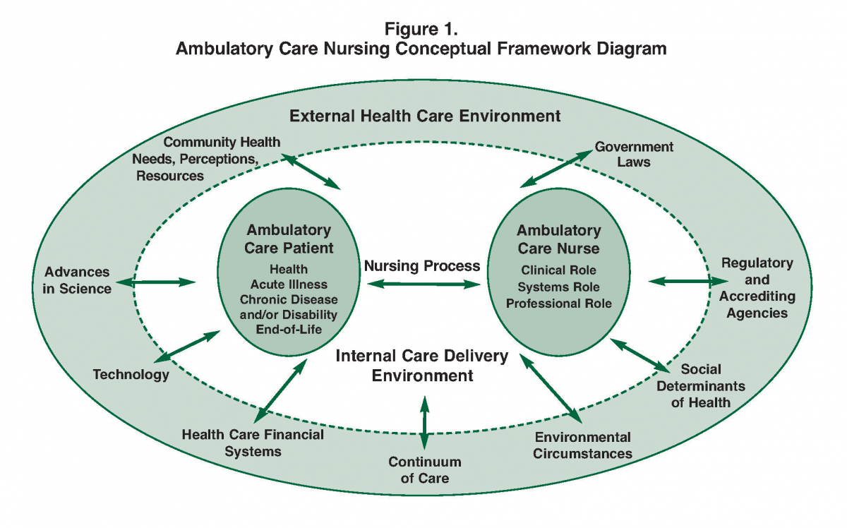 conceptual framework definition in nursing research