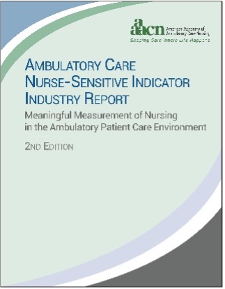 NSI Report Cover